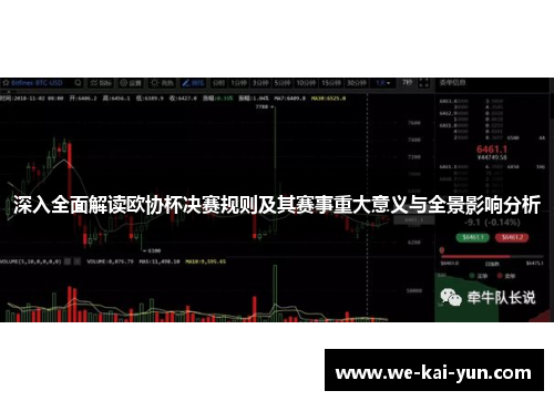 深入全面解读欧协杯决赛规则及其赛事重大意义与全景影响分析